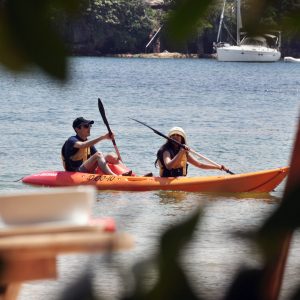 Explore Manly on a Kayak