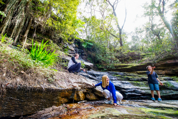 Best Walks on the Northern Beaches