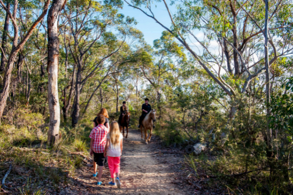 Walks on the Northern Beaches