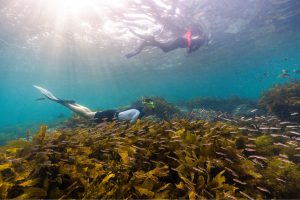 Outdoor date ideas on the Northern Beaches, Sydney