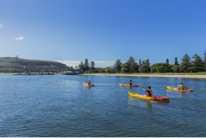 Things to do with Dine and discover Kayaking