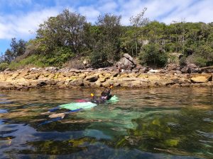 Snorkeling in Manly