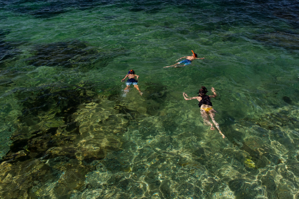 Snorkelling at Fairy Bower, Manly