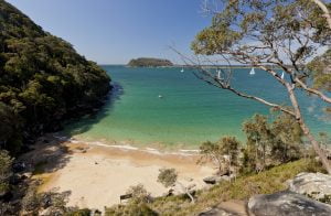 Kayaking on Northern Beaches