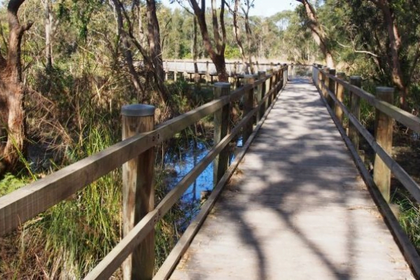 Warriewood Wetlands, Northern Beaches