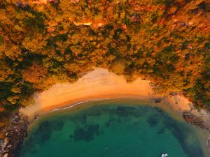 Kayaking on the Northern beaches