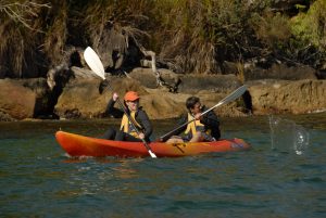 Kayaking on the Northern Beaches