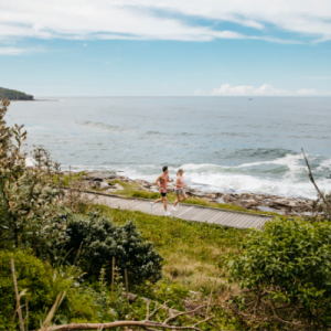 Things to do in Curl Curl