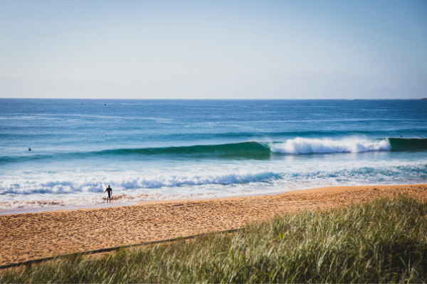 Things to do in Narrabeen