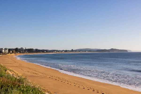 Things to do in Collaroy