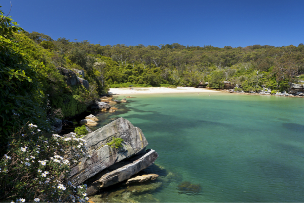 Places to Swim in Manly