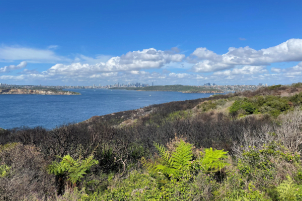 Best nature walks on Northern beaches