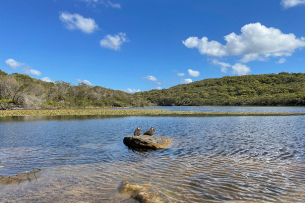 Best Walks in Manly