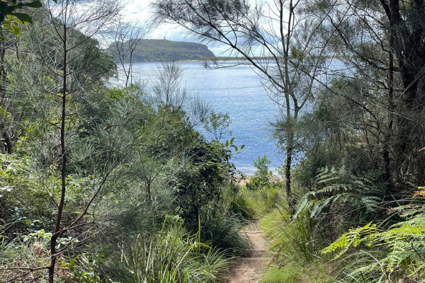 Resolute Beach walking track