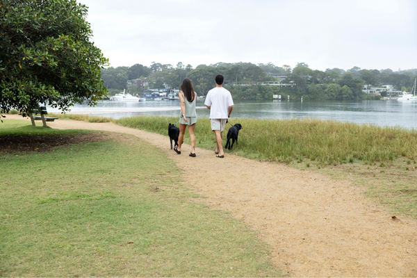 Dog friendly walk - Bayview walk 