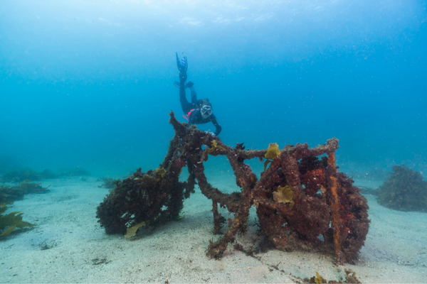 Gift ideas in Manly - snorkelling 