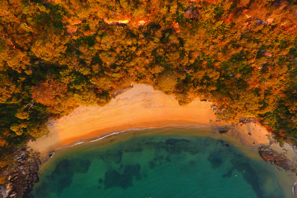 Secret spots on the Northern Beaches