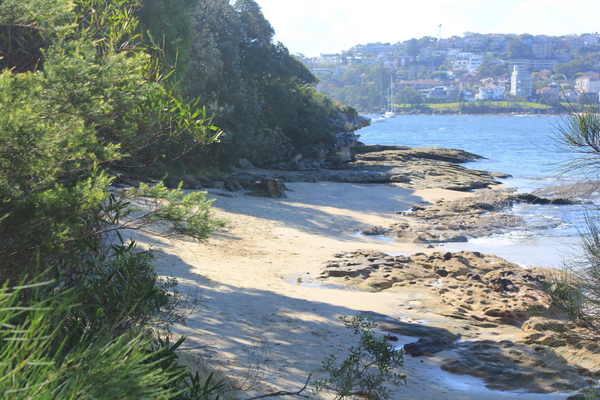 Things to do in Manly 