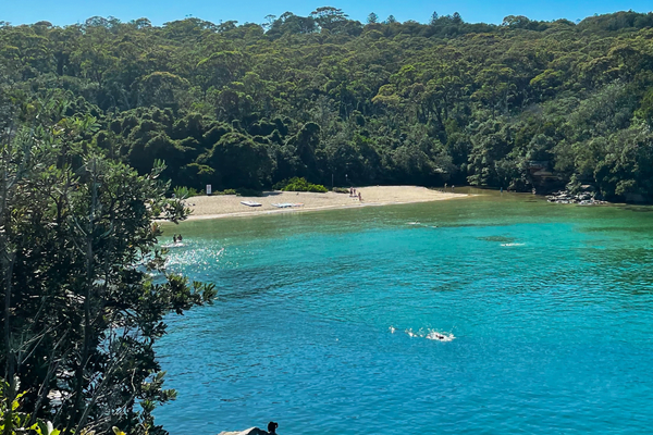 Best beaches in Sydney 