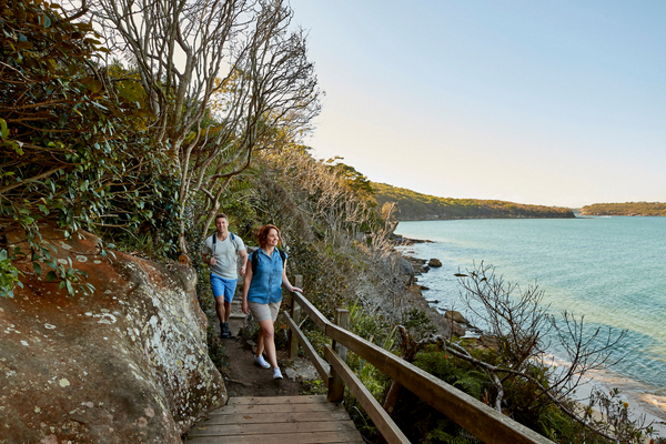 A couple soaking up the views along the Manly Scenic Walkway