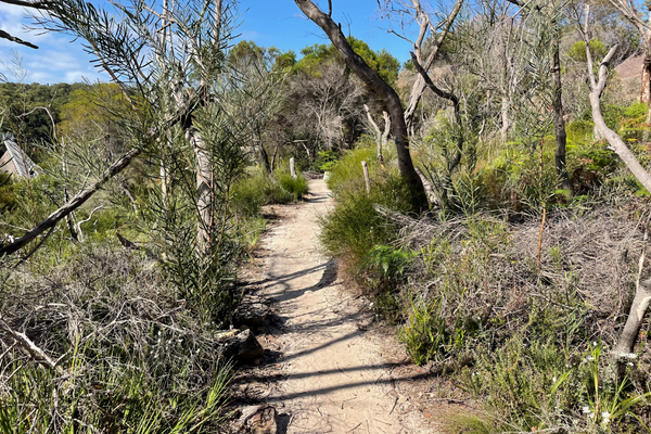 Trail runs Northern Beaches