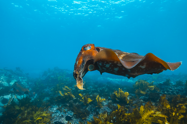 Best spots to take a photo in Manly