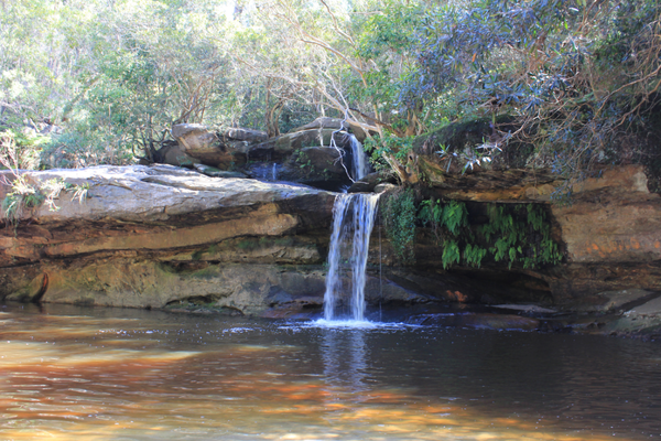 Irrawong waterfall, Warriewood Wetlands