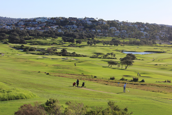 Fathers Day on the Northern Beaches