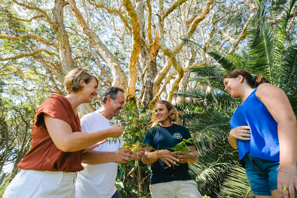 Fathers Day on the Northern Beaches - Enjoy a tour