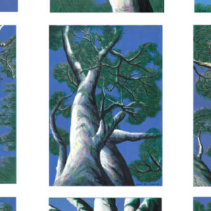 Fan Dongwang, Nine Gum Trees, 2025, acrylic and water colour on canvas paper