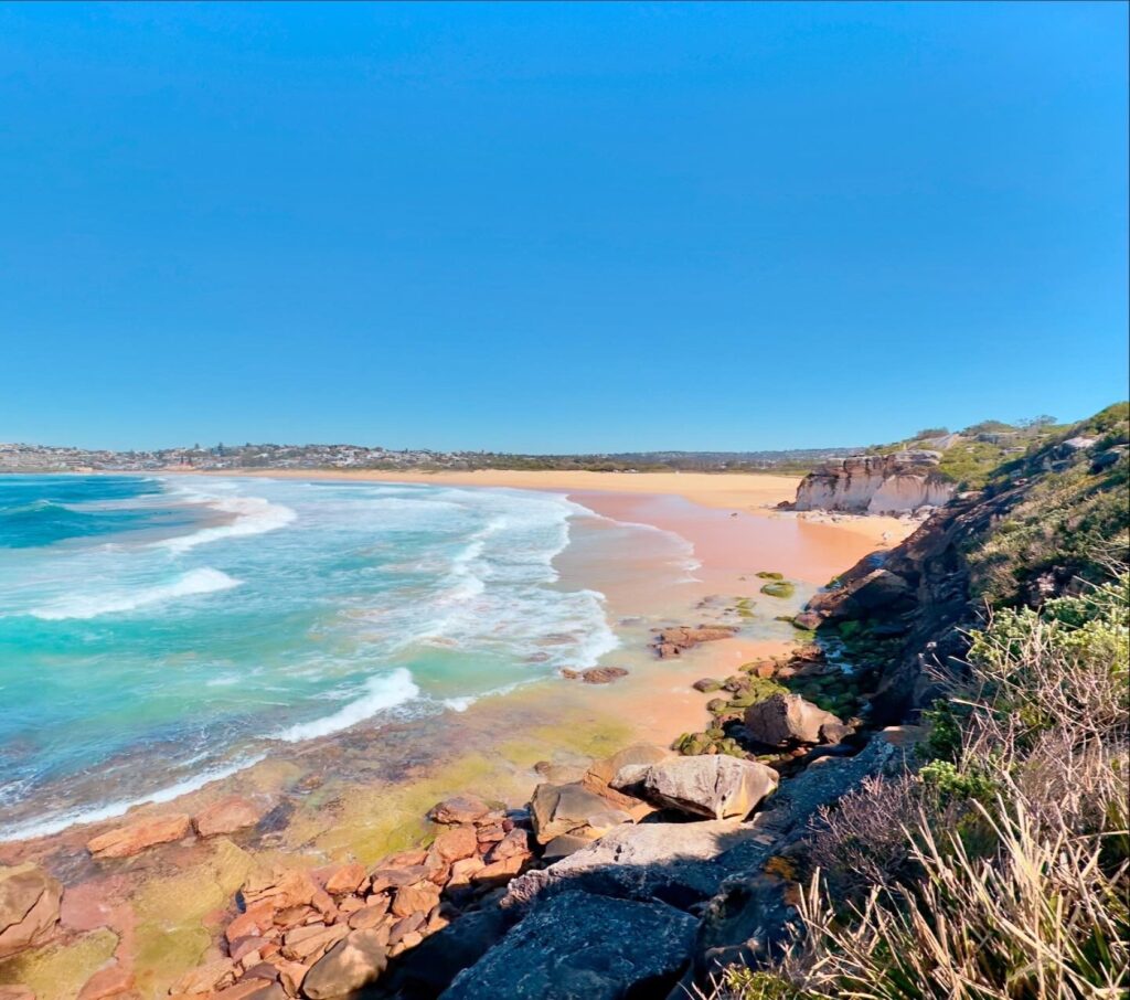 Eco tours on the Northern Beaches